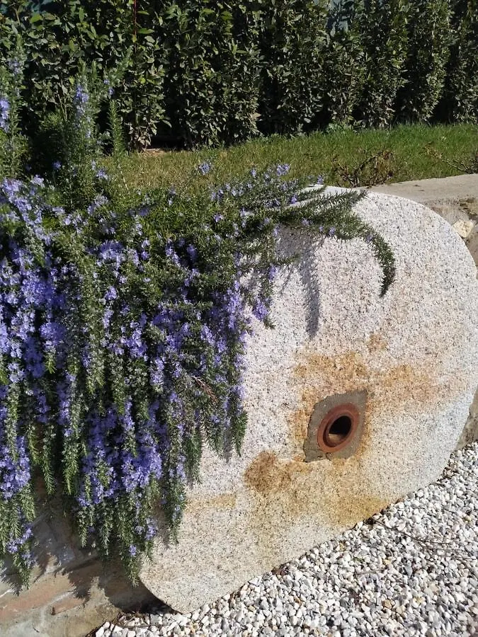 Holiday home Le Macine Di San Salvadore Malmantile